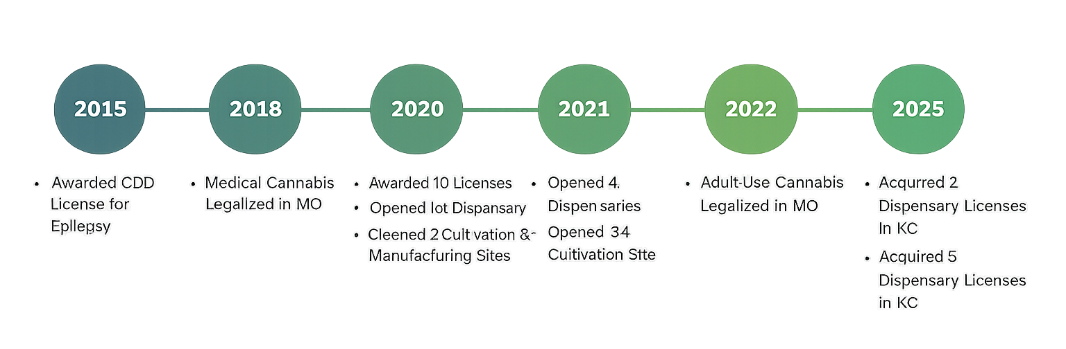 High Quality Transparent Timeline