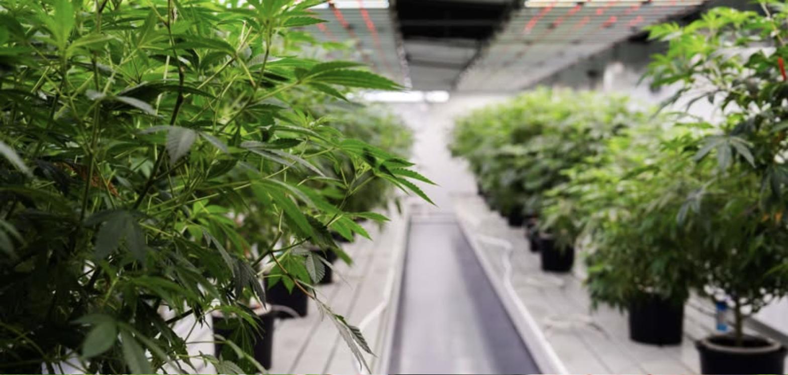 Grow facility