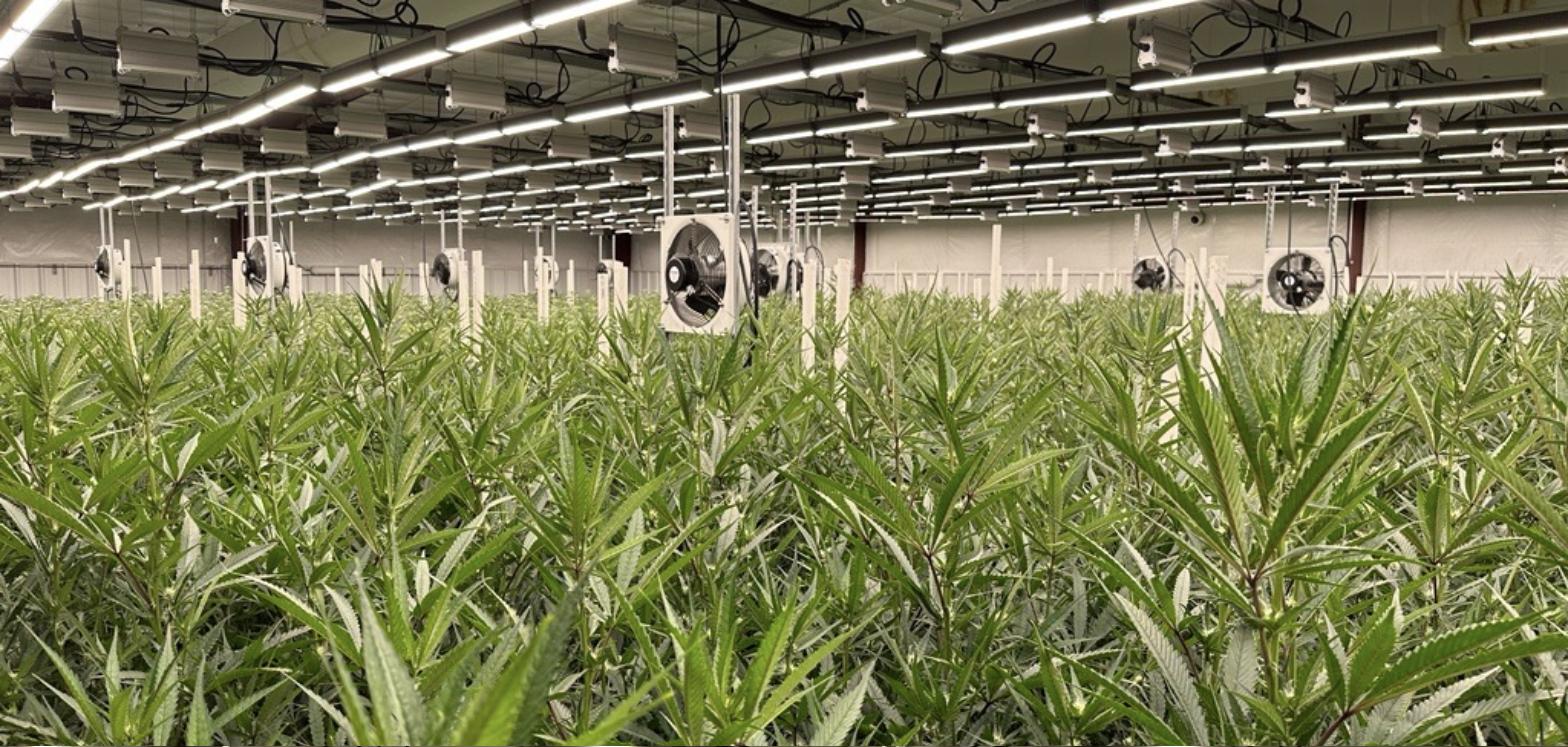SINSE grow facility